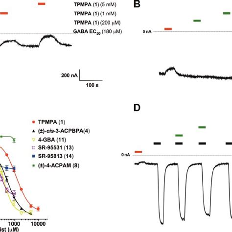 (PDF) Structurally Diverse GABA Antagonists Interact Differently with ...