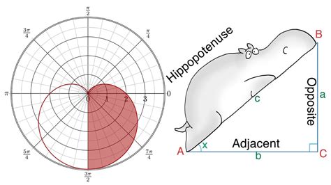 Polar Coordinates: Example 9: Cardioid: Part 1: Slope Formula & Trigonometric Algebra - YouTube