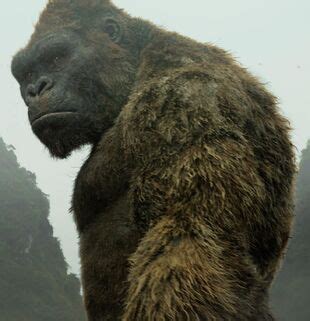 King Kong | GODZILLA: Kaiju Wars Unleashed Wiki | Fandom