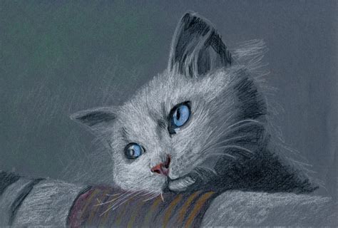 This is a drawing of the first world problems cat that I drew..... : r/pics