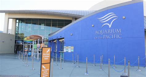 California's Largest Aquarium Might Be The Best Marine Experience Yet