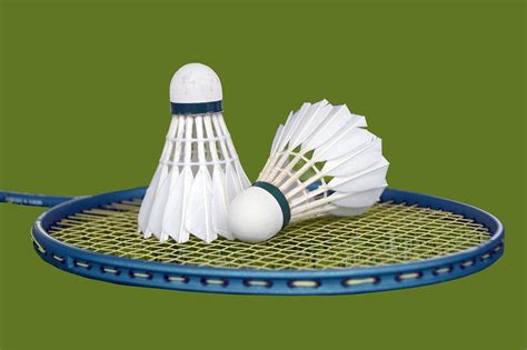 100+ Free Badminton & Sports Images - Pixabay