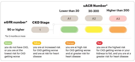 Stage 1 Chronic Kidney Disease (CKD) | National Kidney Foundation