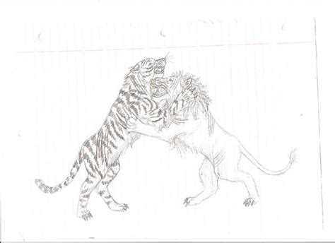 tiger lion fight by AtemusKitten on DeviantArt