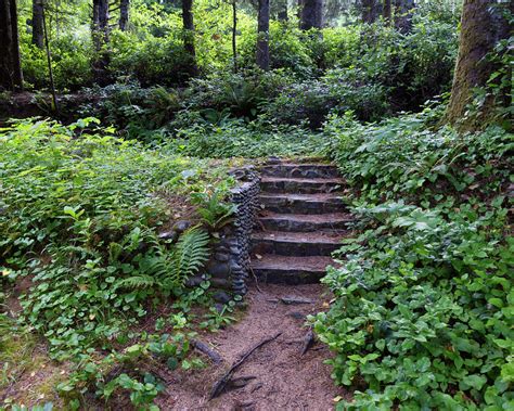 Stairs in the Woods Photograph by HW Kateley - Fine Art America