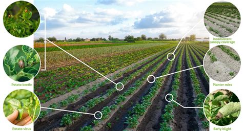 Crop yield prediction in Agriculture 📈