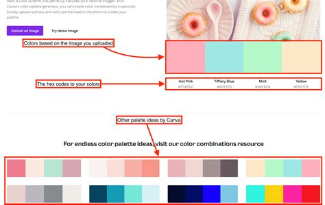 How to Use the Canva Color Palette Generator - Small Business Trends