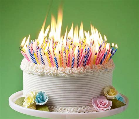 My Birthday Cake Candles Almost Started a Forest Fire - Santa Monica ...