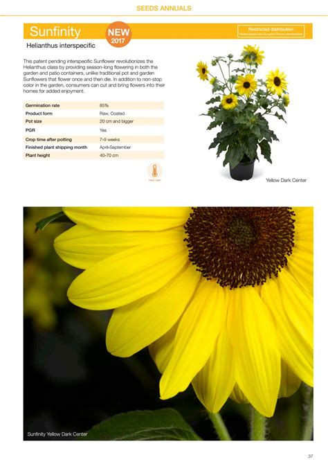 Syngenta Flowers Seeds Collection 2017 by Syngenta Flowers Europe - Issuu