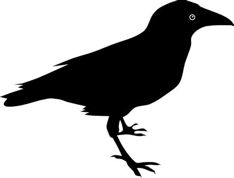 Raven Clip Art - Black Bird Silhouette on White Background