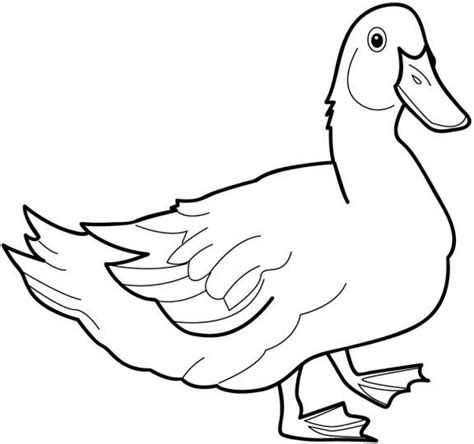 Duck Call Drawing at GetDrawings | Free download