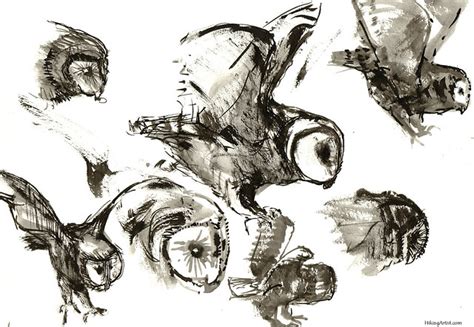 sketches of owls | drawing by Hikingartist.com for free down… | Flickr ...