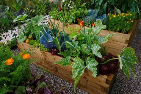 Allotment Ideas in 2022 - Sowing the Seeds of Inspiration | Checkatrade