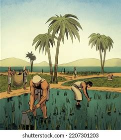 Ancient Egypt Agriculture Nile River Stock Illustration 2207301203 | Shutterstock