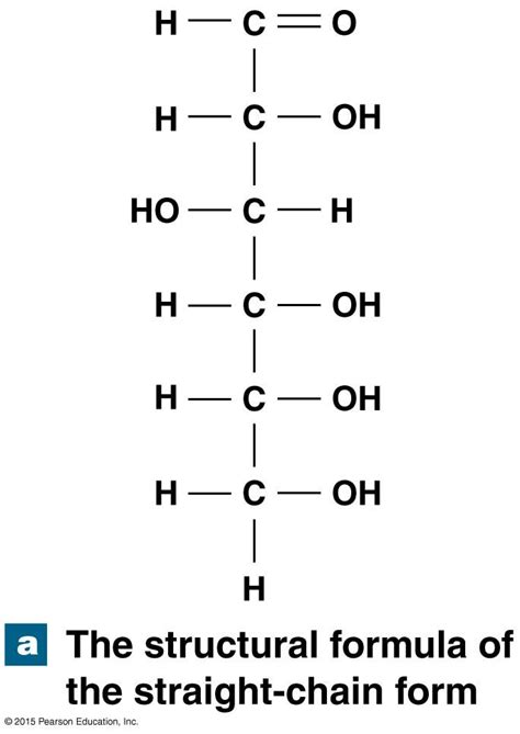 The Structure of Glucose | Structural formula, Pearson education, Anatomy and physiology