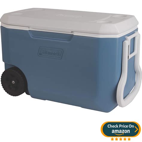 6 Best Beach Coolers With Wheels