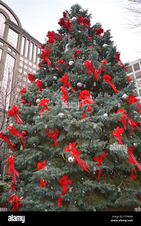 Christmas Tree Downtown Stock Photo - Alamy