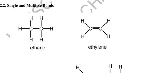 Sp Hybridization Carbon