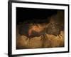 'Stone-age Cave Paintings, Lascaux, France' Photographic Print - Javier Trueba | AllPosters.com
