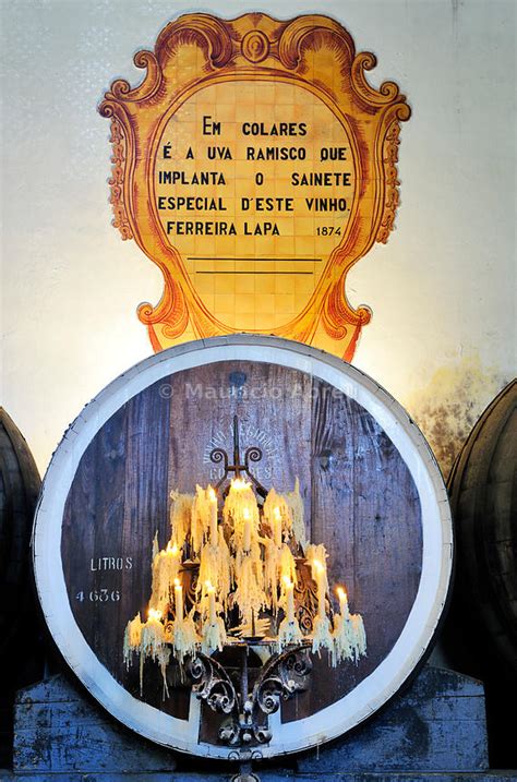 Images of Portugal | Colares Regional Cellar, of the famous Colares wine. Sintra, Portugal