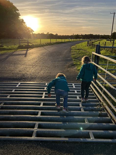 Camping with kids ALONE - Brockenhurst, New Forest — The Distance to travel with kids