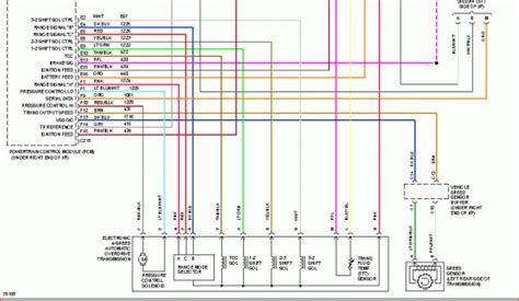 Trailer Connector Wiring Diagram Wiring Pathfinder Imageservice Cx Bookingritzcarlton Wires Plug ...