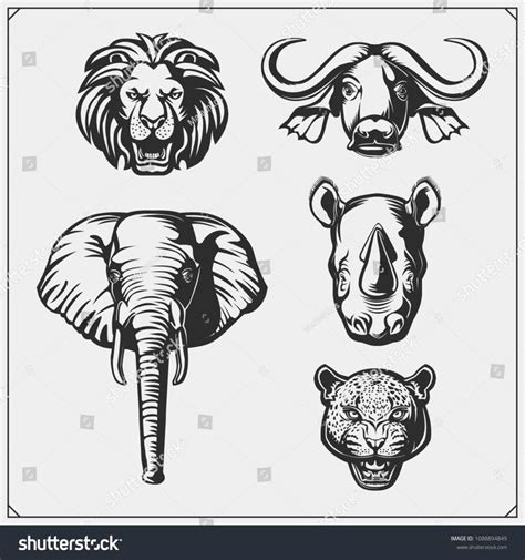 Set Big Five Animals Lion Elephant Stock Vector (Royalty Free) 1088894849 | Shutterstock ...