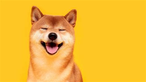 The Next Shiba Inu? 7 Meme Coins to Keep on Your Crypto Radar ...