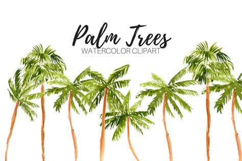 Watercolor Palm Tree Clipart | Illustrations ~ Creative Market