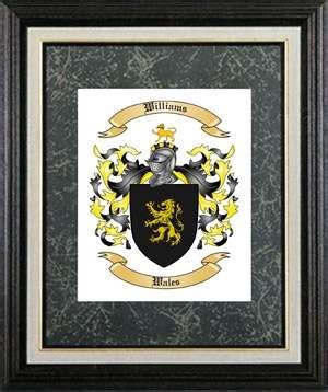 Irish Coat of Arms and Irish Family Crest