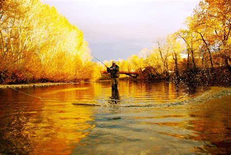 Boise River - Boise River Guides