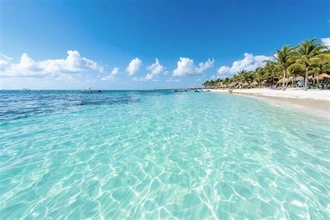 Paradise Bay Coastal Print | Cuba travel, Cuba pictures, Akumal beach