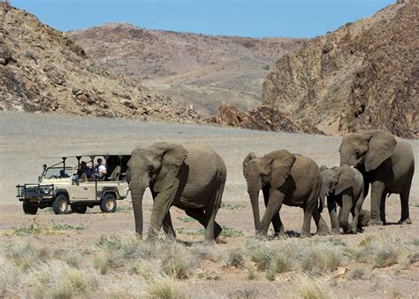 Visit Damaraland on a trip to Namibia | Audley Travel