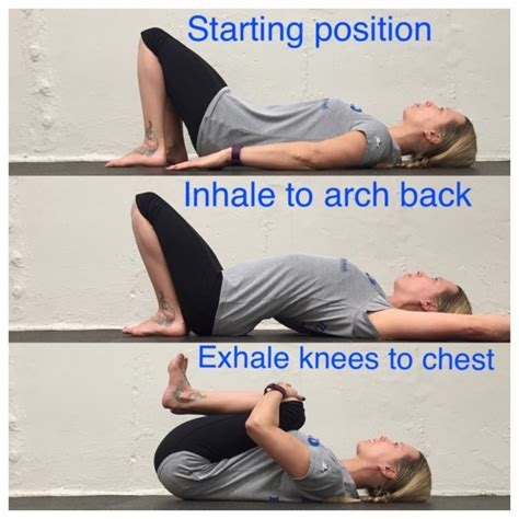 Stretch of the Week: Pelvic Tilts - Athletico