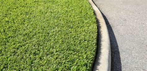 Want the Best Centipede Grass Fertilizer? 5 of the Best (that Work)