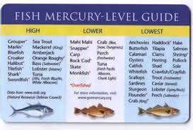 High Mercury Fish