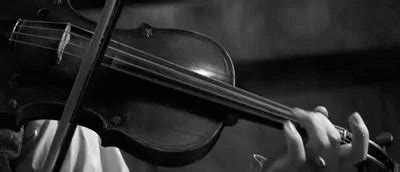 Violin GIF - Violin - Discover & Share GIFs