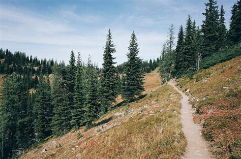 "Hiking Trail Extending Through Aline Meadow" by Stocksy Contributor "Rialto Images" - Stocksy