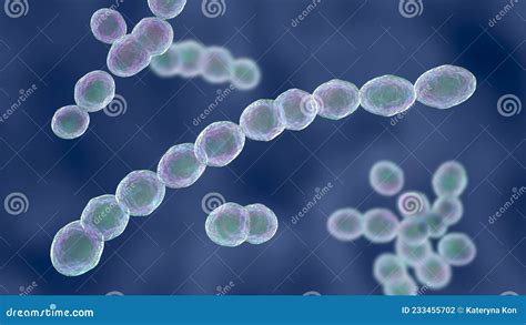 Leuconostoc Bacteria, 3D Illustration Stock Illustration - Illustration ...