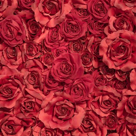 HEART19 Red Roses – Studio Backdrops