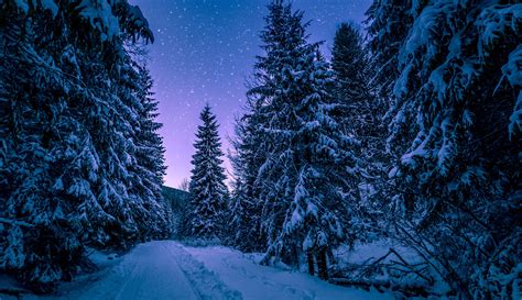 Amazing 4K Winter Wallpapers - Top Free Amazing 4K Winter Backgrounds - WallpaperAccess