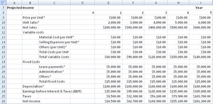 Professional Capital Budgeting Spreadsheet