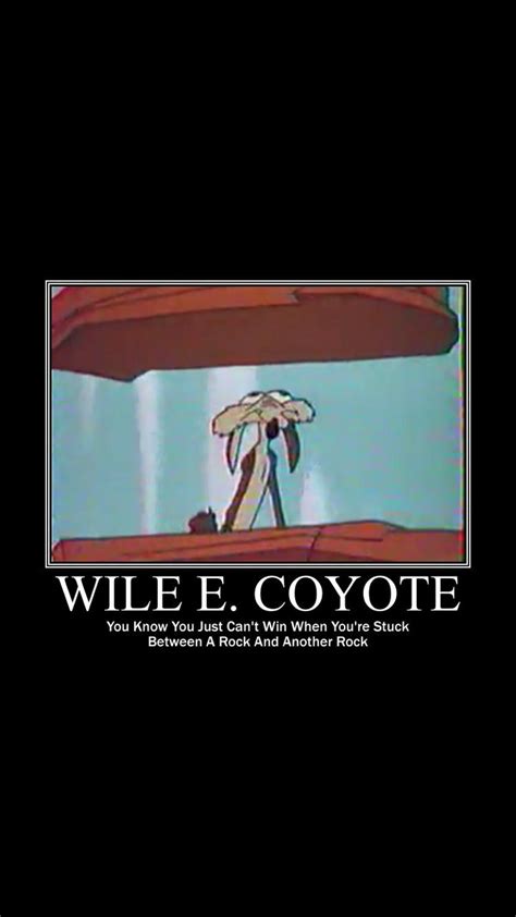 Wile E Coyote - Meme by Izuru :) Memedroid