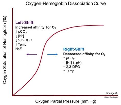 Some discussion about oxygen-hemoglobin dissociation curve – Platform | CME