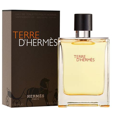 Terre D'Hermes by Hermes 100ml EDT | Perfume NZ