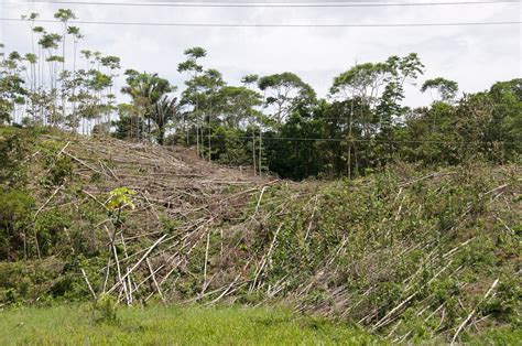 Deforestation in Ecuador | I suspect the deforestation that … | Flickr