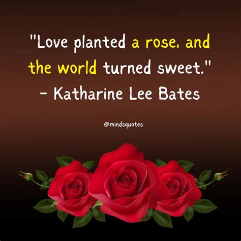 National Red Rose Day Quotes, Wishes & Messages (June 12th)