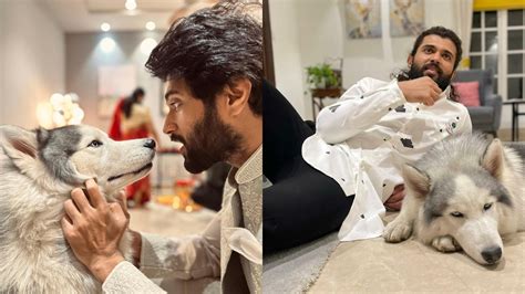 Times When Vijay Deverakonda Shared Cozy Moments With Pet Dog Storm ...