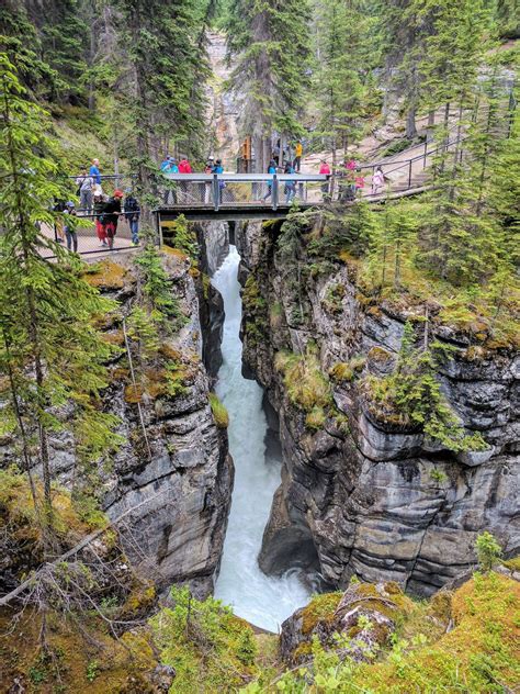 Maligne Canyon With Kids. Discovering Jasper National Park - Grazy Goat