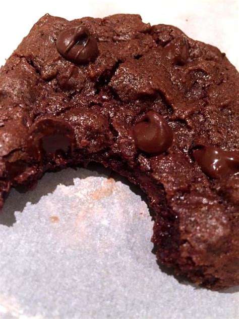 Soft Chewy Double Chocolate Chip Cookies Recipe – Melanie Cooks